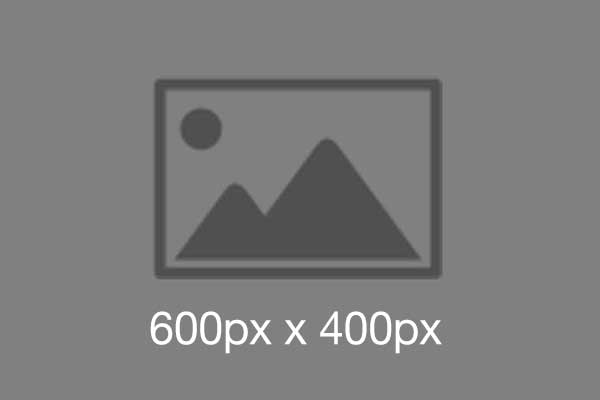 600x400 placeholder image