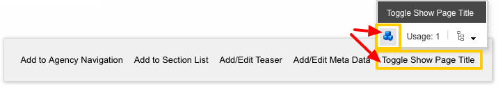 Toggle Page Title